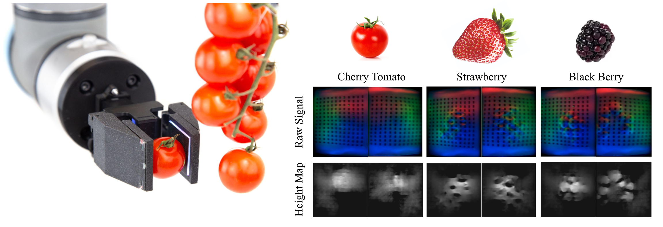First research result visualization